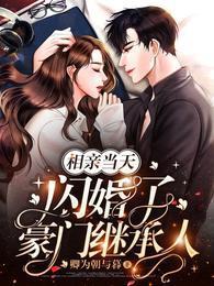 相亲当天,闪婚了豪门继承人