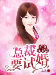 娇妻你好甜:总裁要试婚