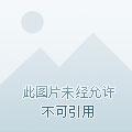 大侠养成系统